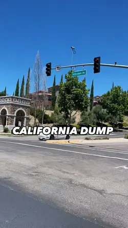 TRAVEL DUMP (FAST) 