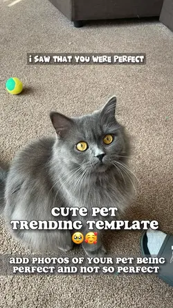 Pet trend🐾♥️
