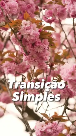 Transição Simples 