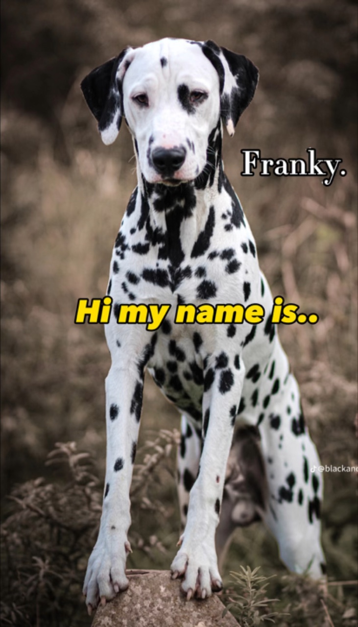 Mi nombre es..