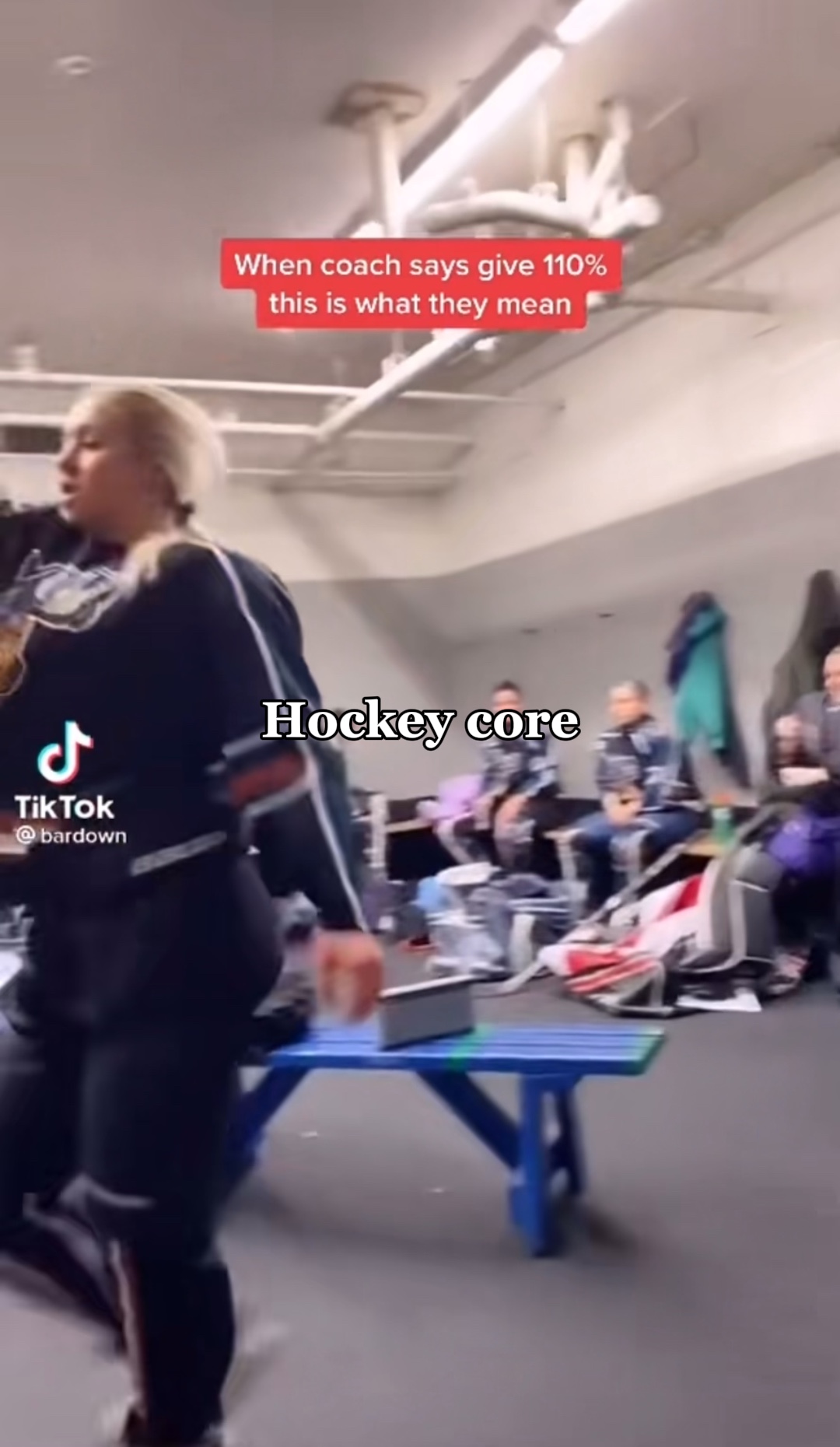Hockey core