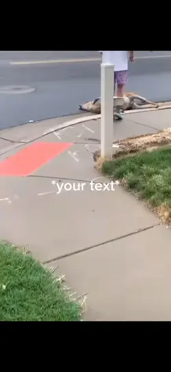 Get well soon