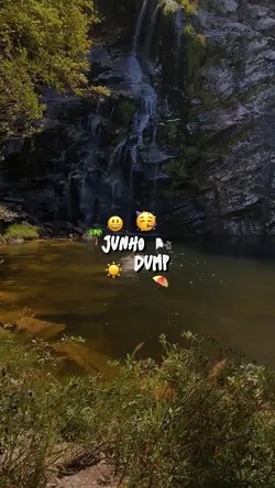 Junho Dump☀️🌴