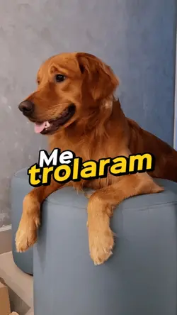 Trolagem Pet