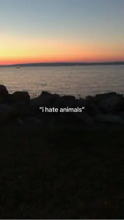 animalsss