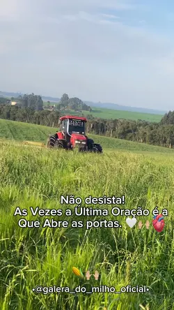 Nunca Desista! 🙌🏼🍃
