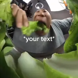 Lettuce 