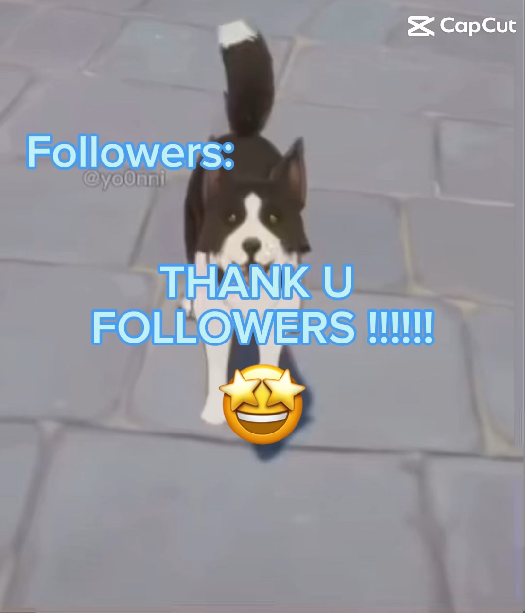 TY followers 🤩🤩