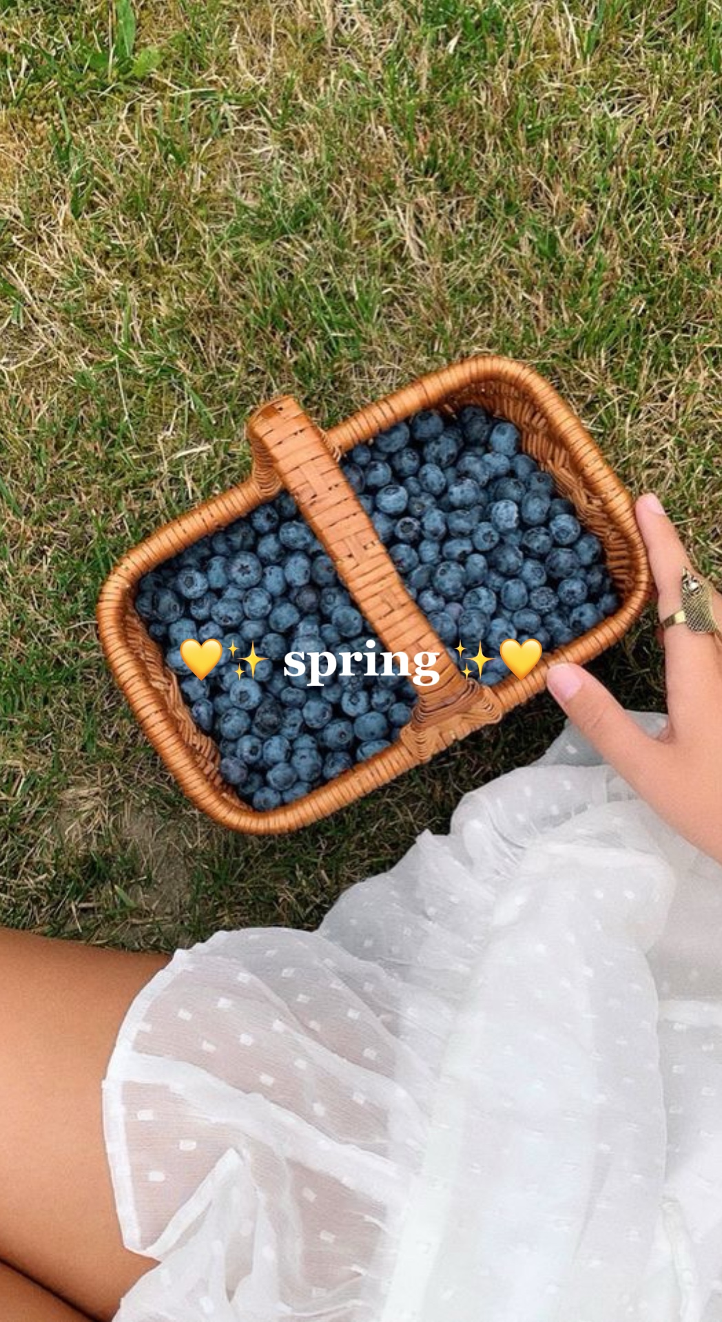  spring! 🌸