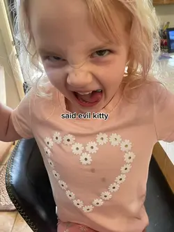 evil kitty