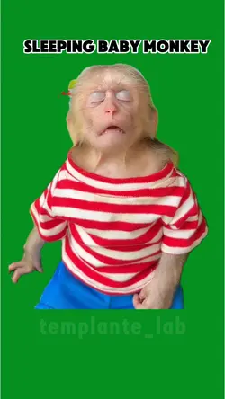monkey