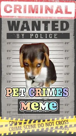 Pet crimes meme 