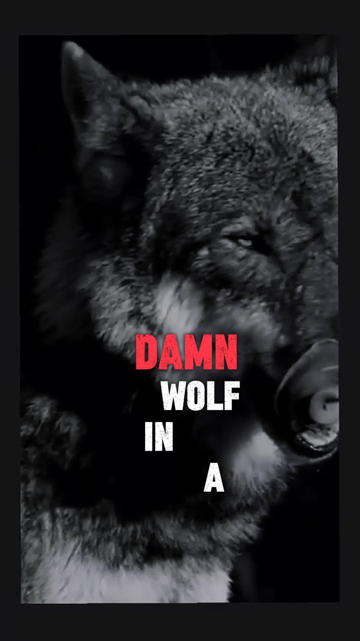 Le loup 
