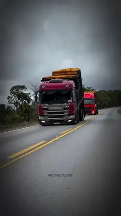 Bruto de raça