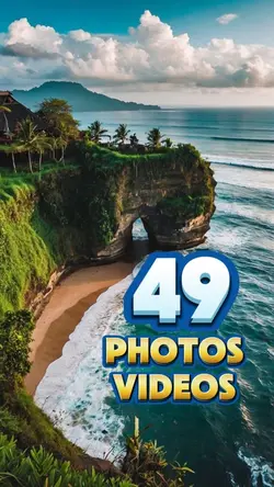 49 photos or videos 