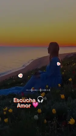 Canción de amor 💕 