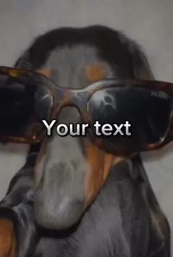 Dachshund meme