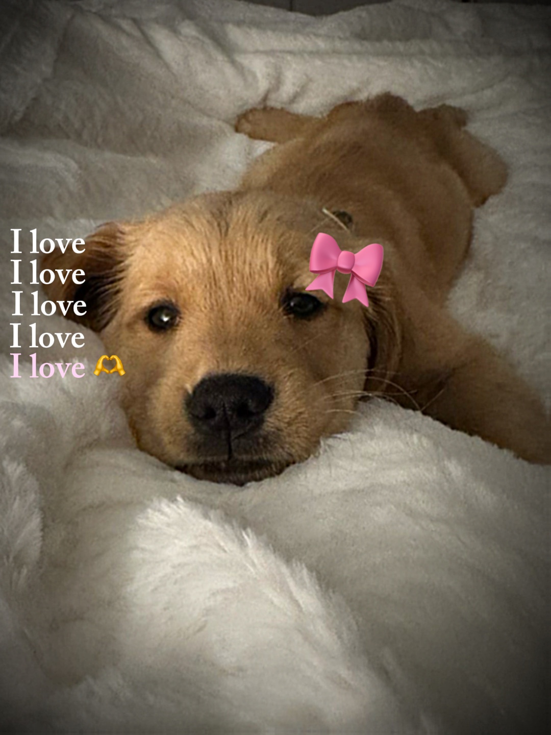 “I love”