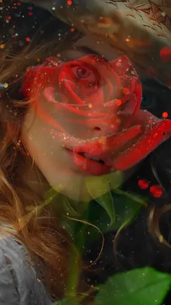 rosas brilhantes 