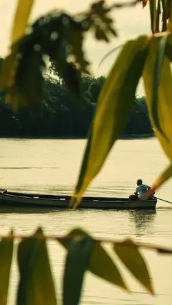 Moments +seus videos