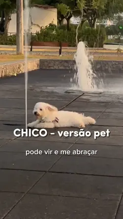 Chico versão pet 