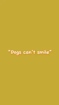 zeke can smile! ๐ซถ