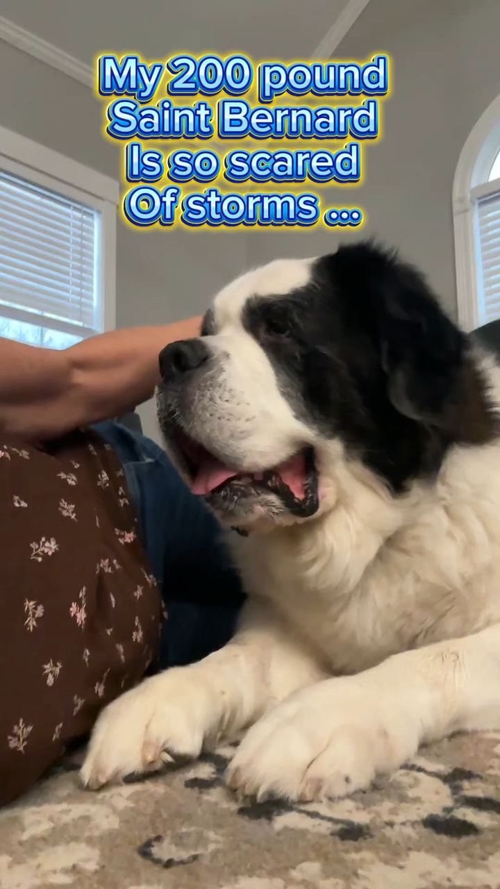 Video temp