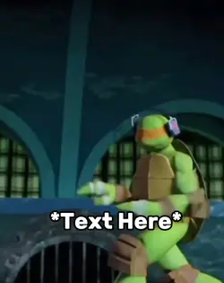 Turtles meme 