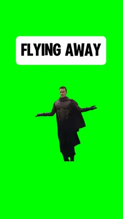 FLYING AWAY