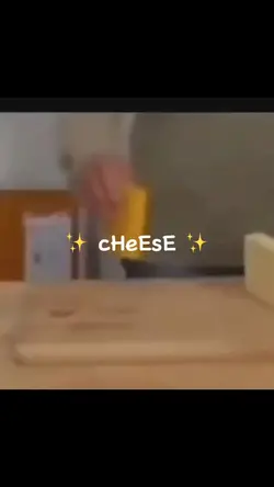 β¨ cHeSe β¨