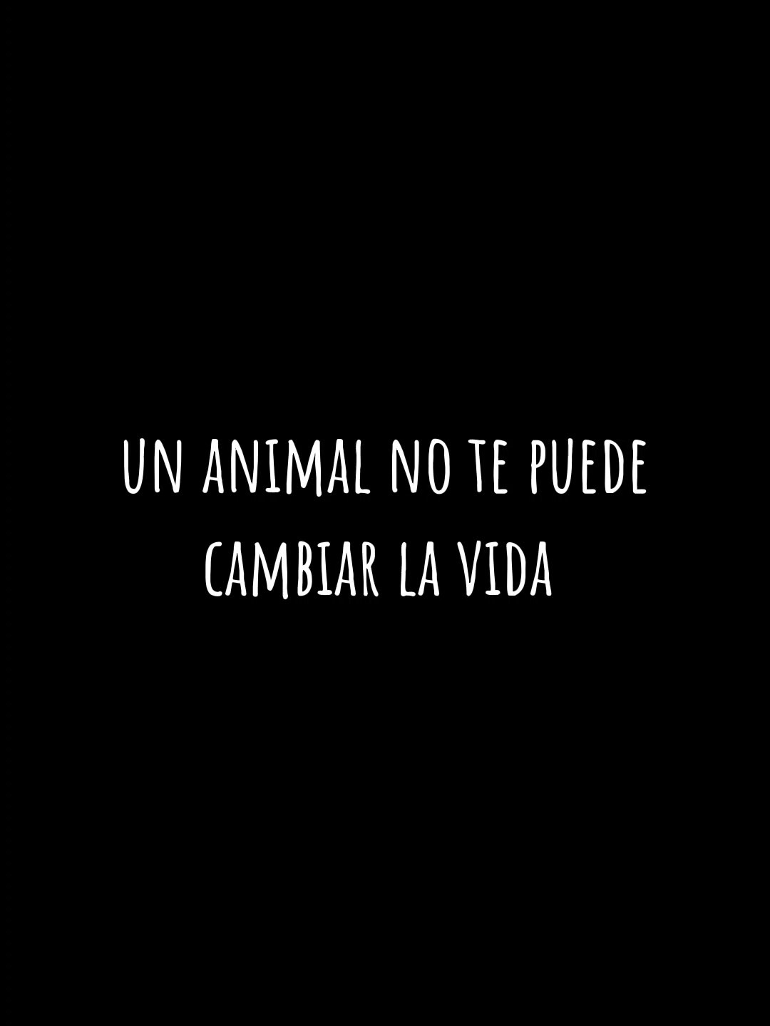 si se puede 