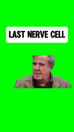 LAST NERVE CELL