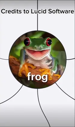 Frogs🐸🐸🐸
