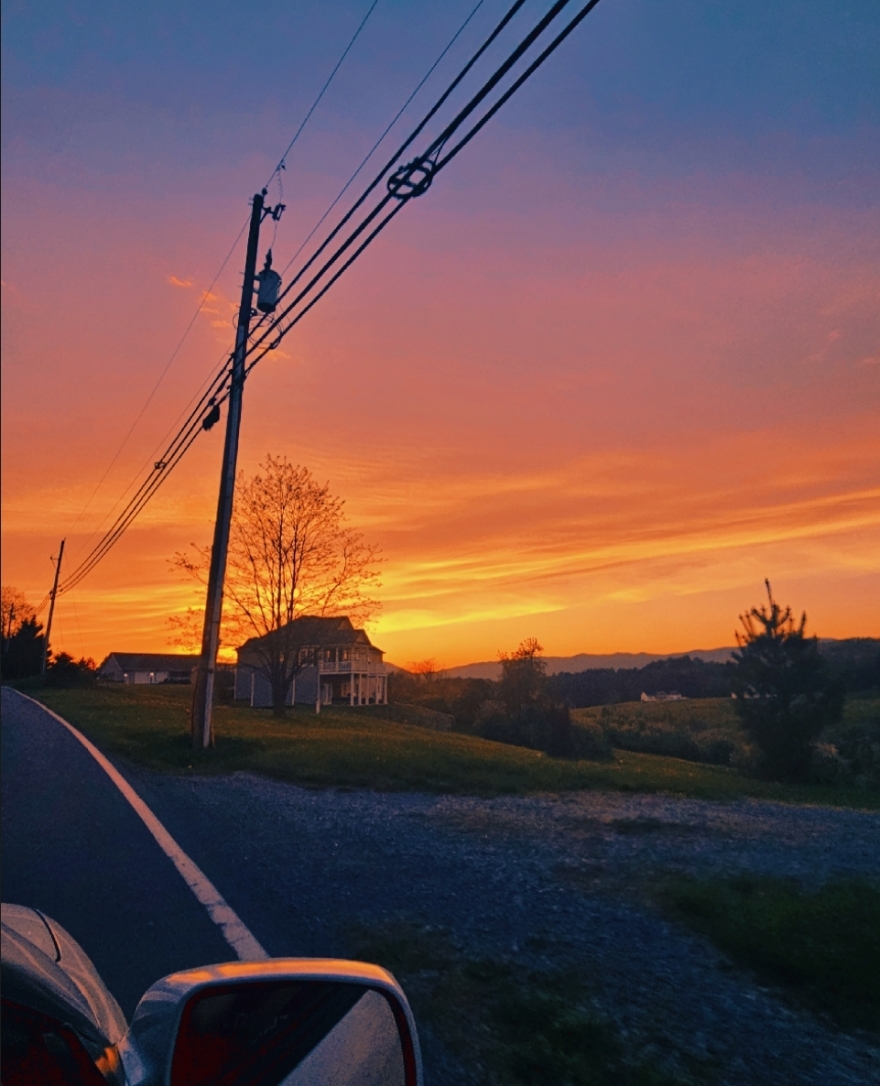 smth In the orange 