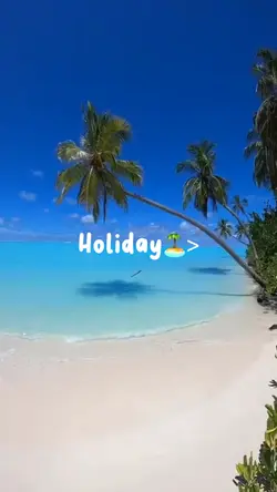 Holiday🏝️>