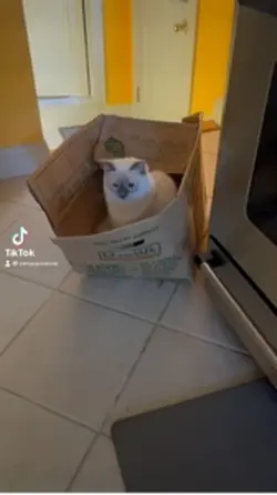 ZENAS MOVING OUT🤷🏼‍♀️