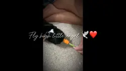 My little baby ❤️❤️