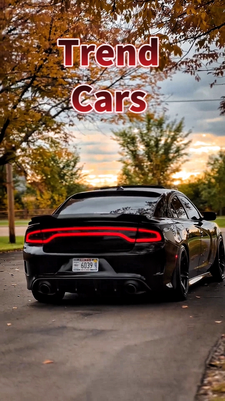 Trend Tiktok Car 