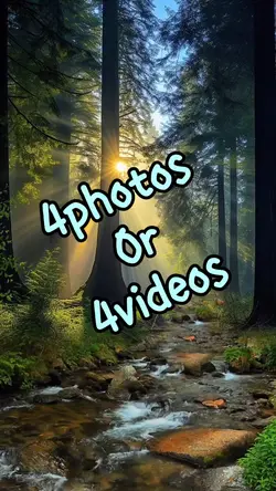 4photos/videos