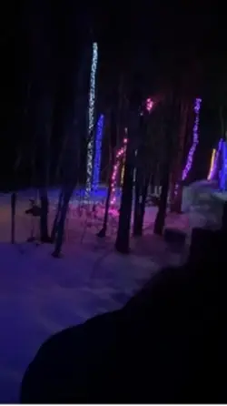 My Visit To The Ice