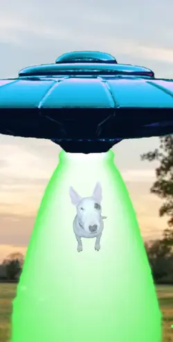Alien Abduction UFO