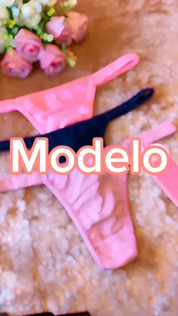 Modelo