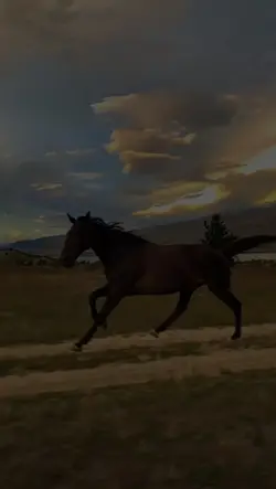 vaqueiro Chamequinho