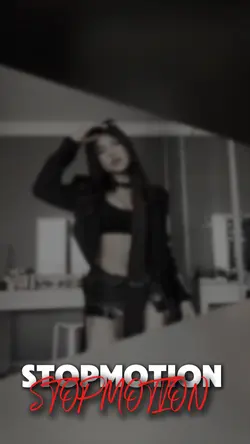 STOPMOTION