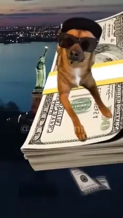 sonho ou pesadelo?..