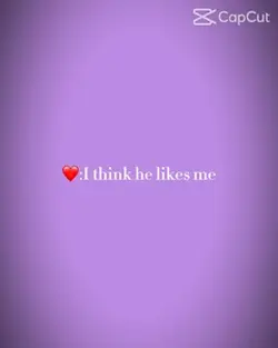 Lov