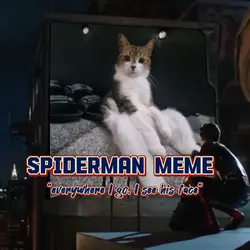 Spiderman Meme temp