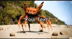 Crab Rave  