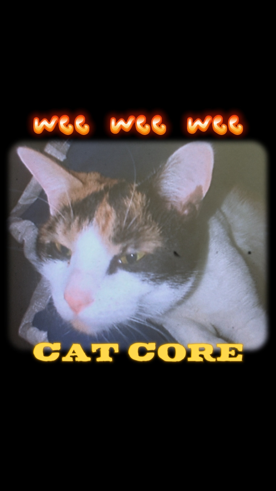 Katzenkern