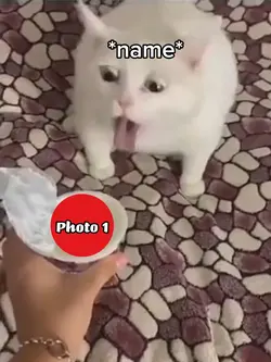 Cat gagging at image